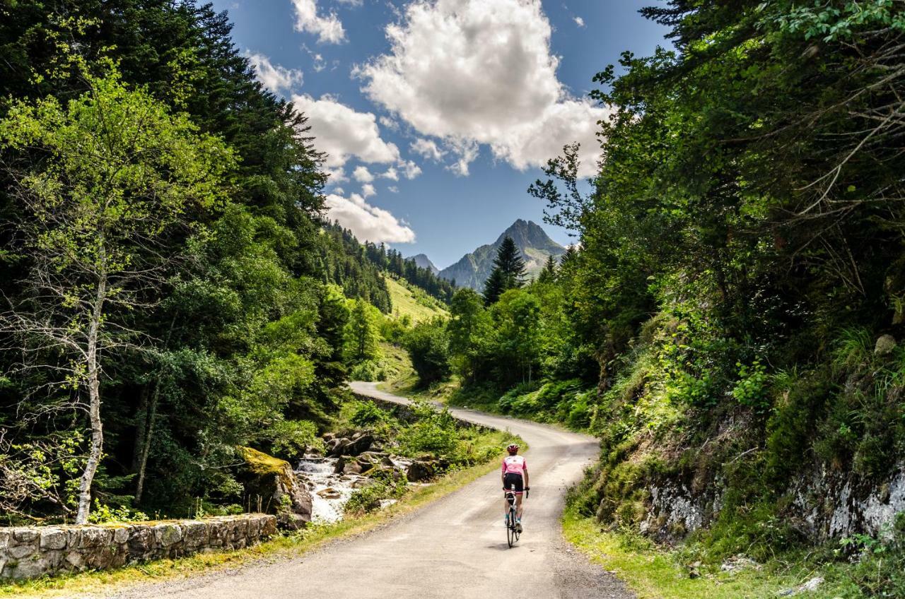 Pyrenees Cycling Lodge Saint-Savin (Hautes-Pyrenees) Exterior photo